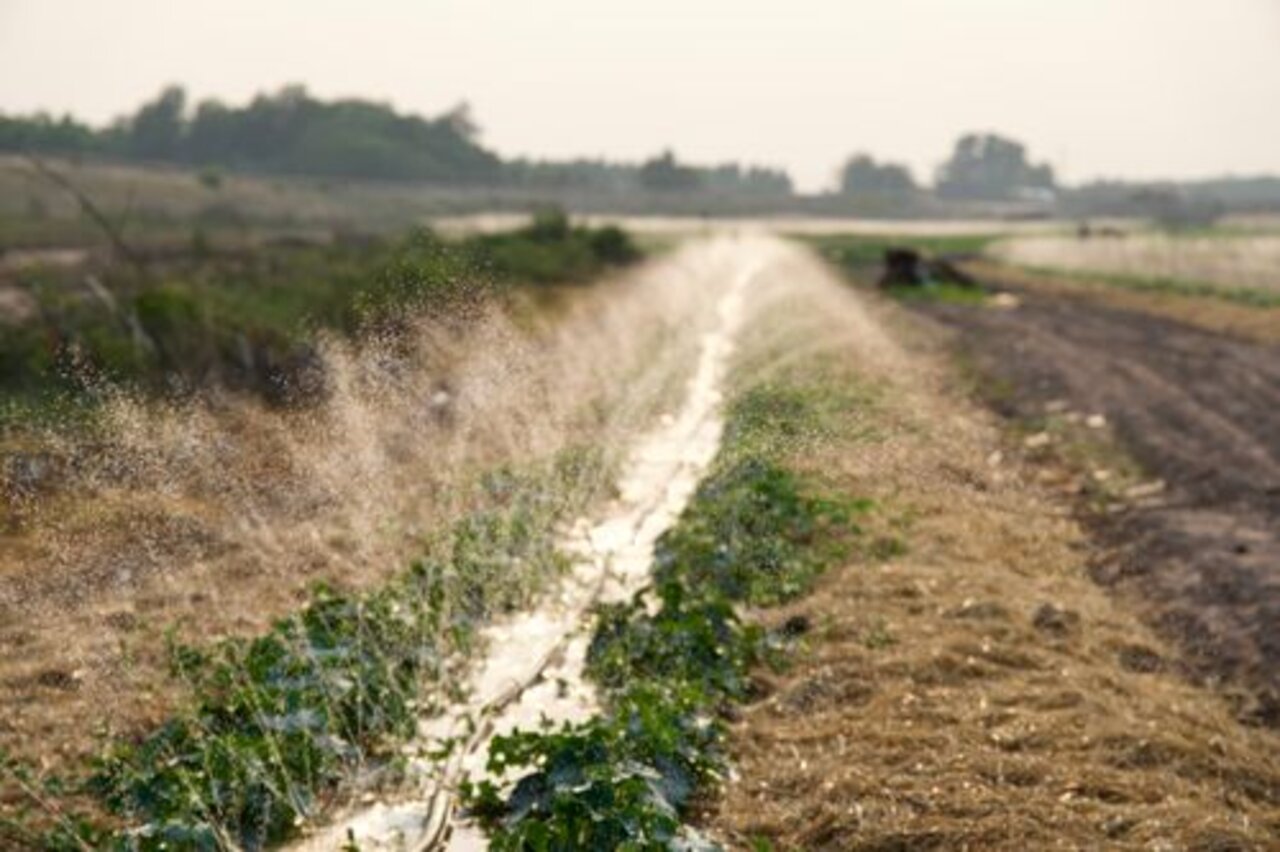 Irrigation contractor